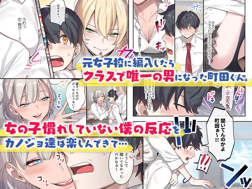 クラスで男は僕一人!?〜可愛いあの子達に囲まれて〜 サンプル画像 1枚目