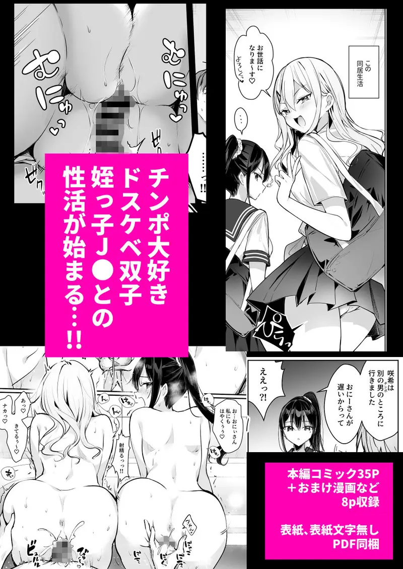 僕の姪は巨乳でビッチな双子JK〜弄ばれる性活事情〜 サンプル画像 5枚目
