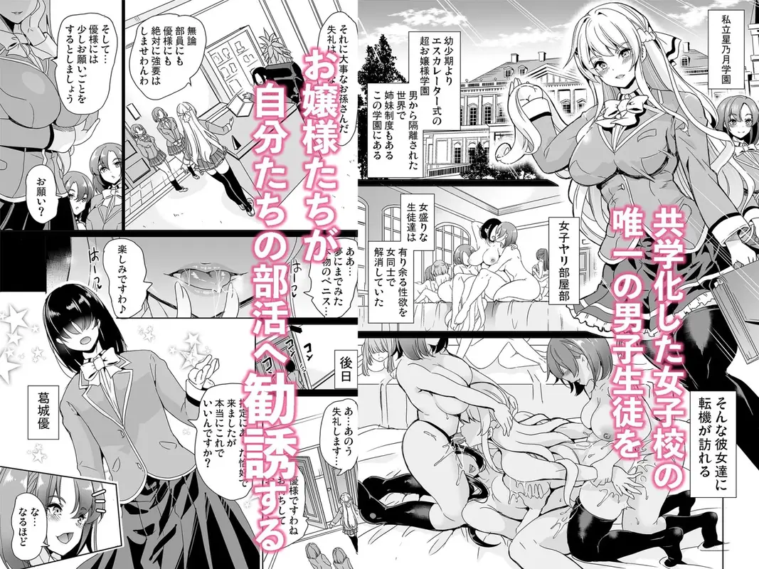 女子ヤリ部屋部の男根 〜痴女ハーレム〜 総集編 サンプル画像 1枚目
