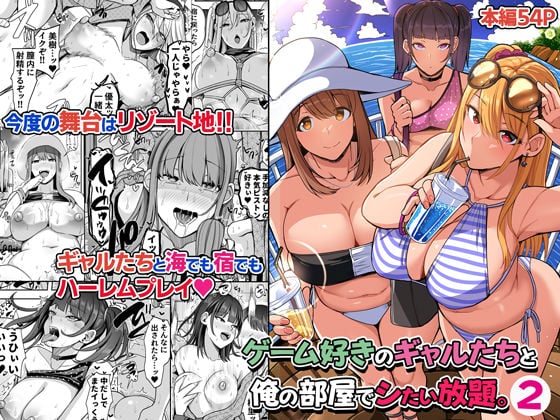 ゲーム好きのギャルたちと俺の部屋でシたい放題2 [すいのせ][d_318484][パッケージ画像]