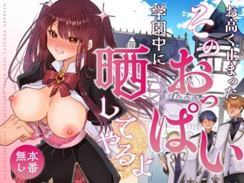 お高く止まったそのおっぱい 学園中に晒してやるよ [P＆I][d_574349][パッケージ画像]