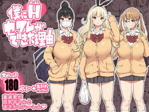 僕にハーレムセフレができた理由 [あいるあいる][d_205040][パッケージ画像]