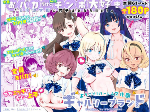 【全員おバカだけどみんなチンポ大好き】「ど底辺学園に男子はあなただけ！」ようこそ！ハーレム文化祭ギャルソープランド〜地味でさえないオタク君の部屋がエロいギャルたちのたまり場になってる件〜 [アトリエTODO][d_563399][パッケージ画像]