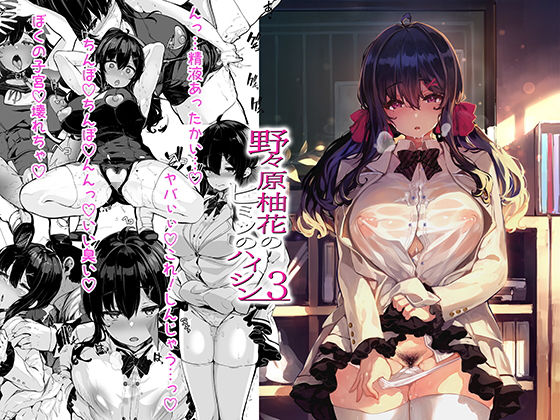 野々原柚花のヒミツのハイシン3 [LAMINARIA][d_237928][パッケージ画像]