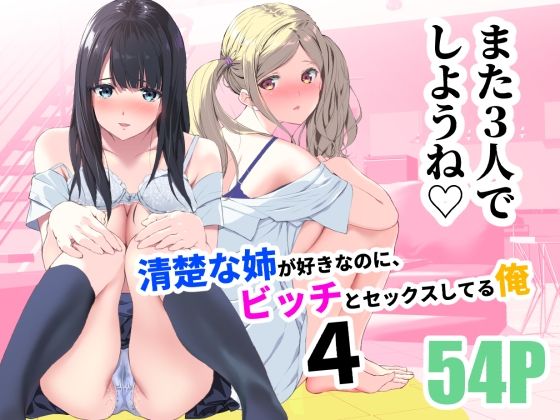 清楚な姉が好きなのに、ビッチとセックスしてる俺4 [裏FMO][d_255016][パッケージ画像]