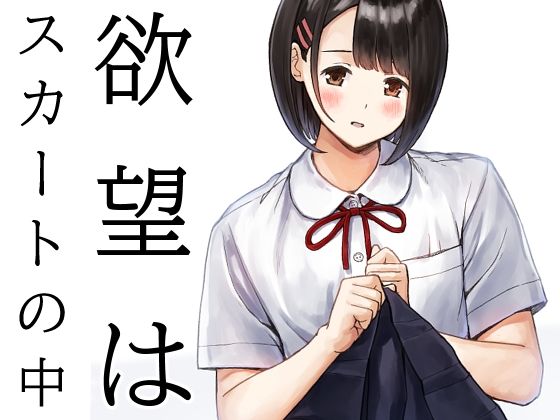 欲望はスカートの中 [METAMOR-WORKS][d_730392][パッケージ画像]