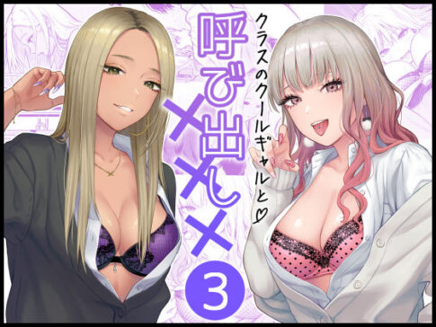 クラスのクールギャルと呼び出し×××3 [パッケージ][FeOワークス][d_473970]