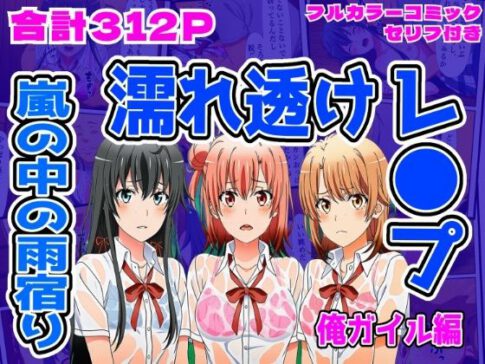 【俺ガイル編】雨宿り濡れ透けレ●プ [パッケージ][しんくろん][d_703084]